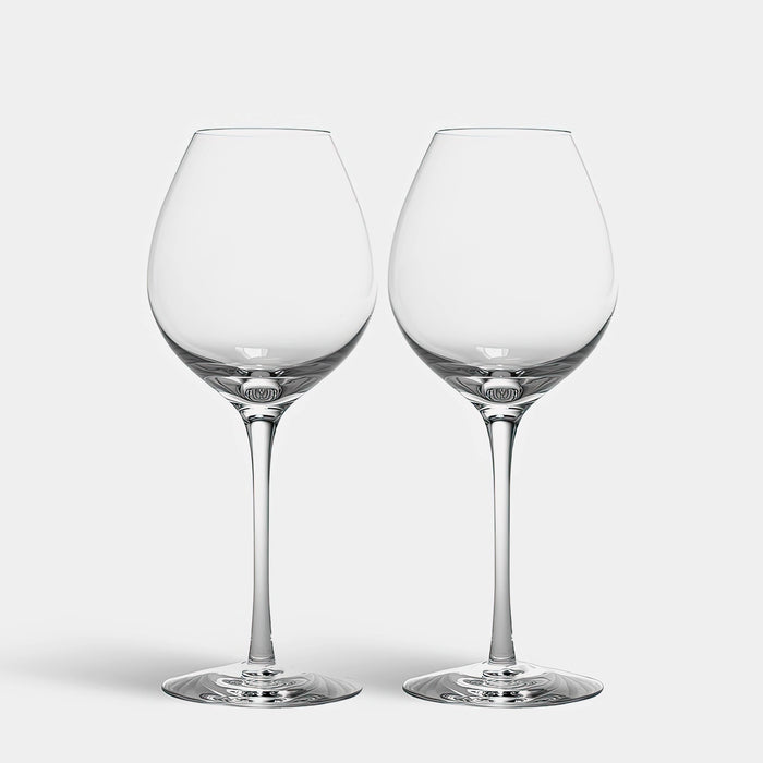 Difference Fruit Wine Glass - 2 glass set