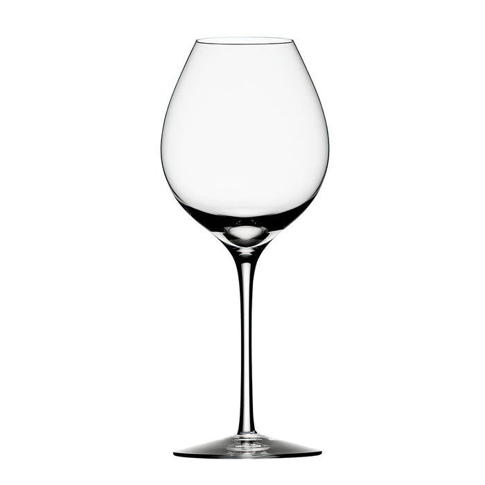 Difference Fruit Wine Glass - 2 glass set